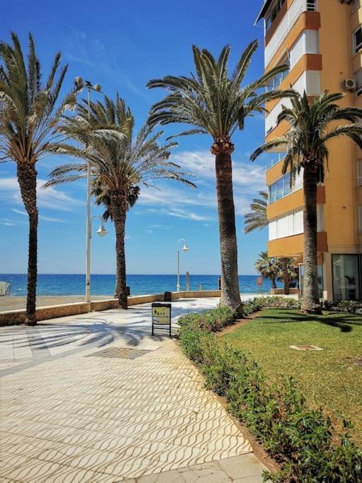 Estudio Algarrobo Costa Exteriér fotografie
